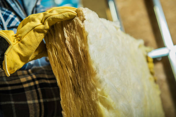 Best Eco-Friendly Insulation in Silver City, NM
