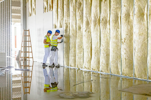 Best DIY Insulation Kits and Guidance in Silver City, NM